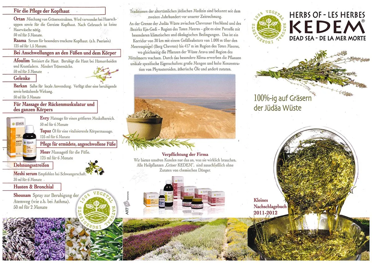 Flyer_1
